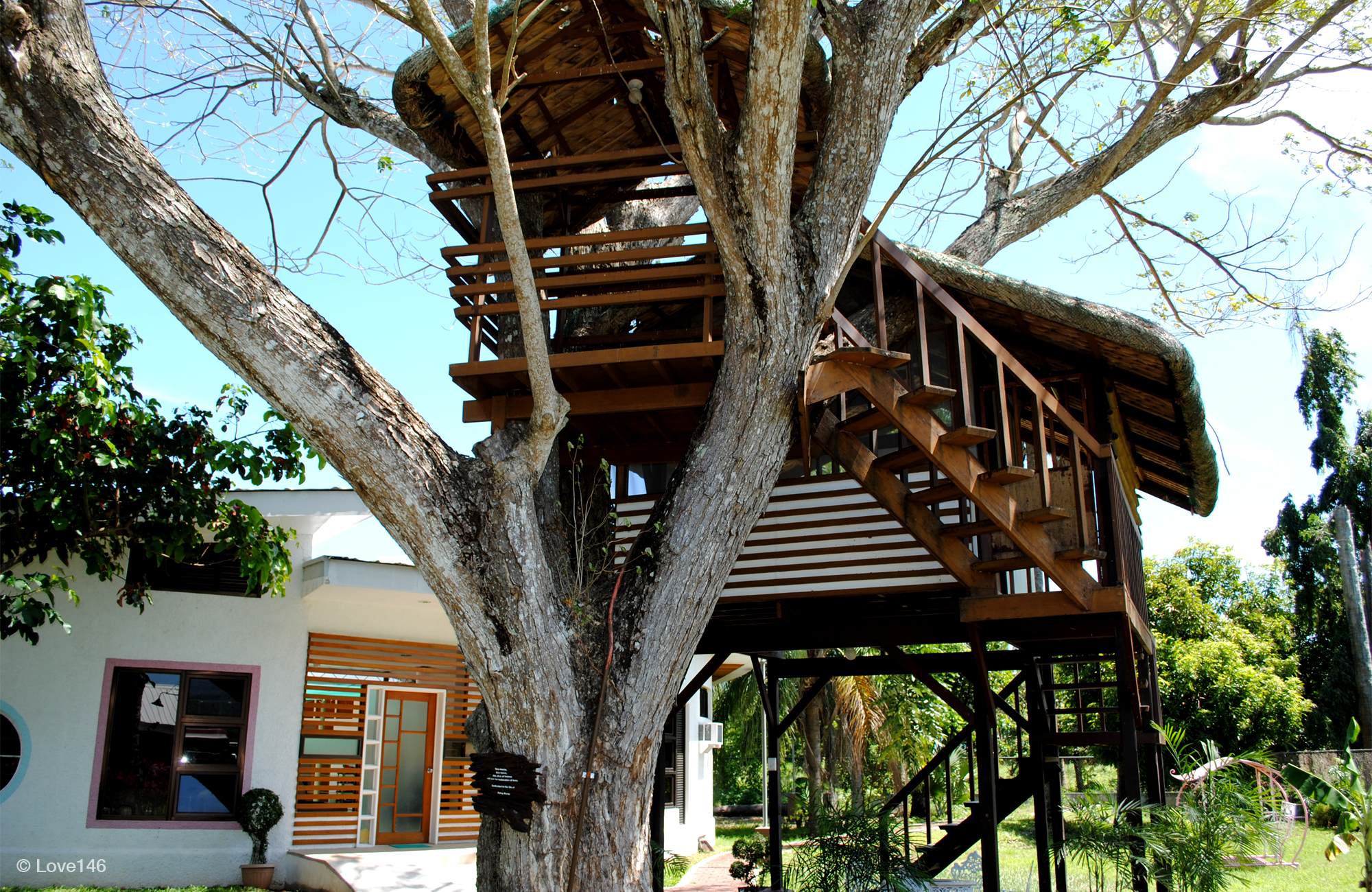 TreeHouse_RoundHome